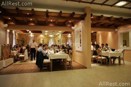 Spongiola Hotel 31